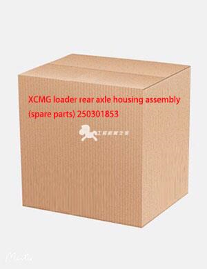XCMG loader rear axle housing assembly (spare parts) 250301853