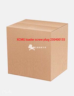 XCMG loader screw plug 250400135