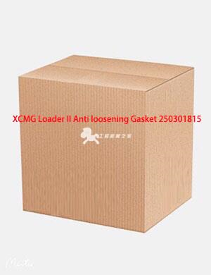 XCMG Loader II Anti loosening Gasket 250301815