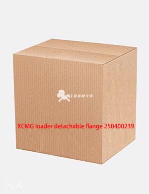 XCMG loader detachable flange 250400239