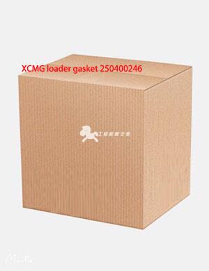 XCMG loader gasket 250400246