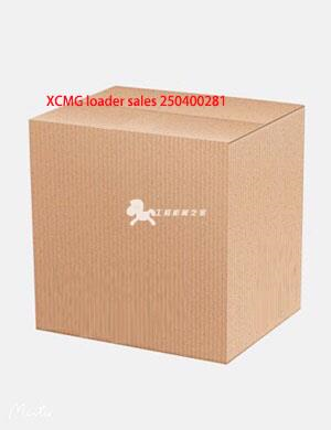 XCMG loader sales 250400281
