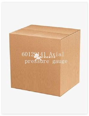60129141 Axial pressure gauge 