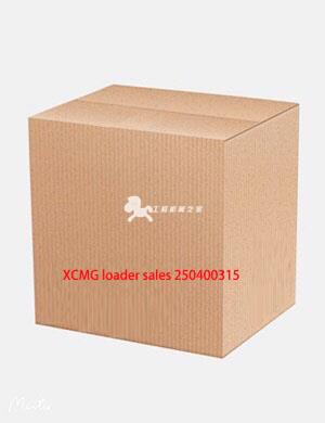 XCMG loader sales 250400315