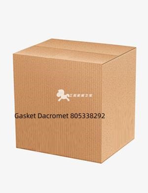 Gasket Dacromet 805338292