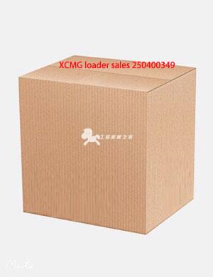 XCMG loader sales 250400349