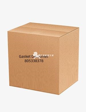 Gasket Dacromet 805338378