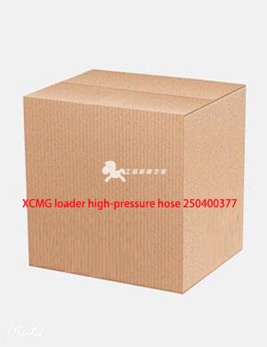 XCMG loader high-pressure hose 250400377