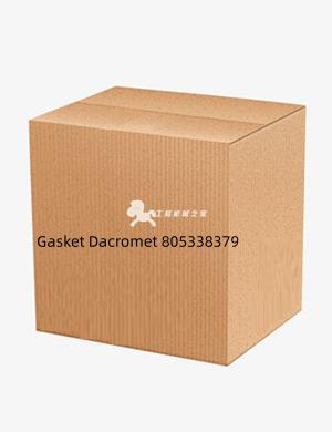 Gasket Dacromet 805338379