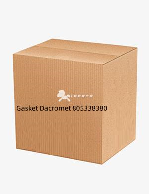 Gasket Dacromet 805338380