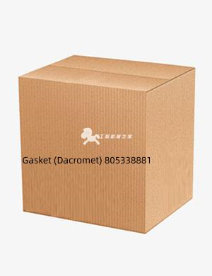 Gasket (Dacromet) 805338881