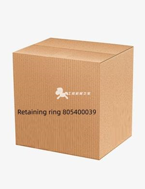 Retaining ring 805400039
